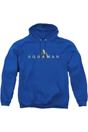 Aquaman Movie Logo Adult Pull Over Hoodie / Hooded Sweatshirt