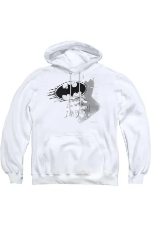 Batman I Am Vengeance Adult Pull Over Hoodie / Hooded Sweatshirt