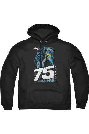 Batman Rooftop Adult Pull Over Hoodie / Hooded Sweatshirt