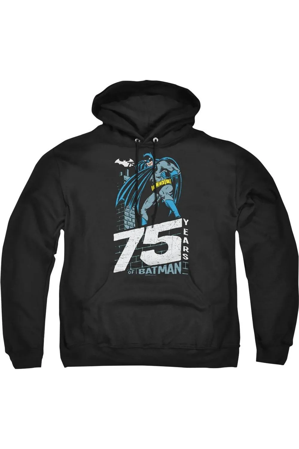 Batman Rooftop Adult Pull Over Hoodie / Hooded Sweatshirt