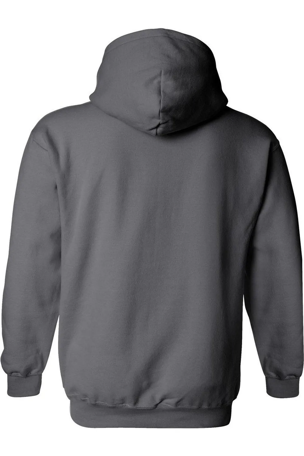 DC Comics Flash Desaturated Flash Adult Pull Over Hoodie / Hooded Sweatshirt