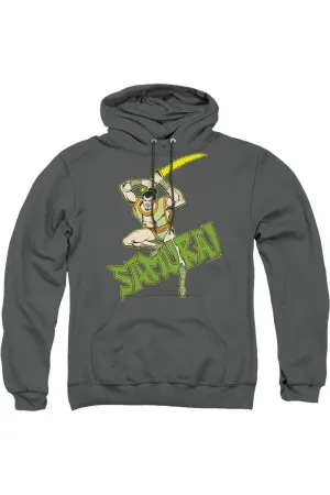 DC Comics Samurai Adult Pull Over Hoodie / Hooded Sweatshirt
