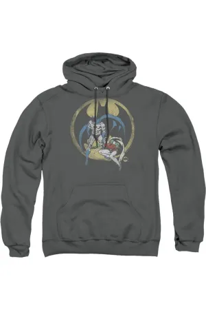 DC Comics Team Adult Pull Over Hoodie / Hooded Sweatshirt