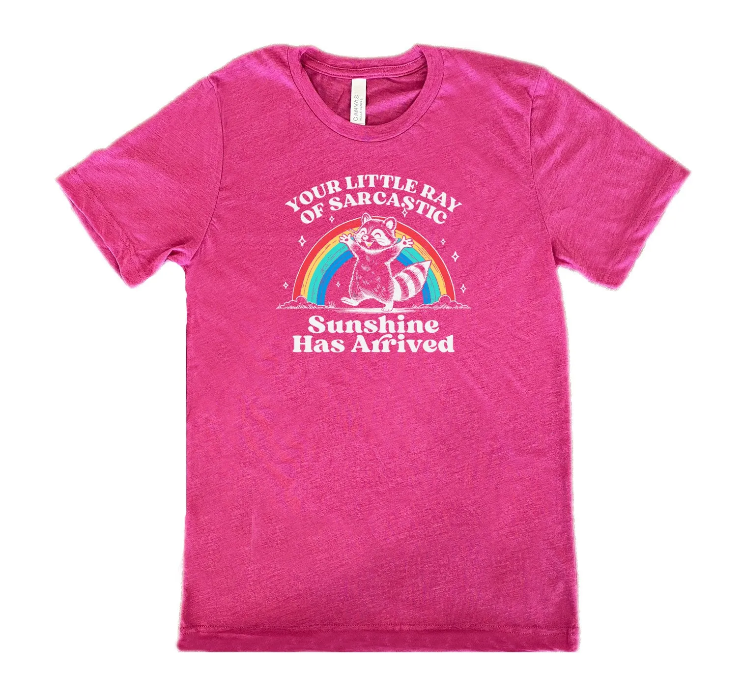 Your Little Ray of Sarcastic Sunshine Has Arrived Shirt Unisex